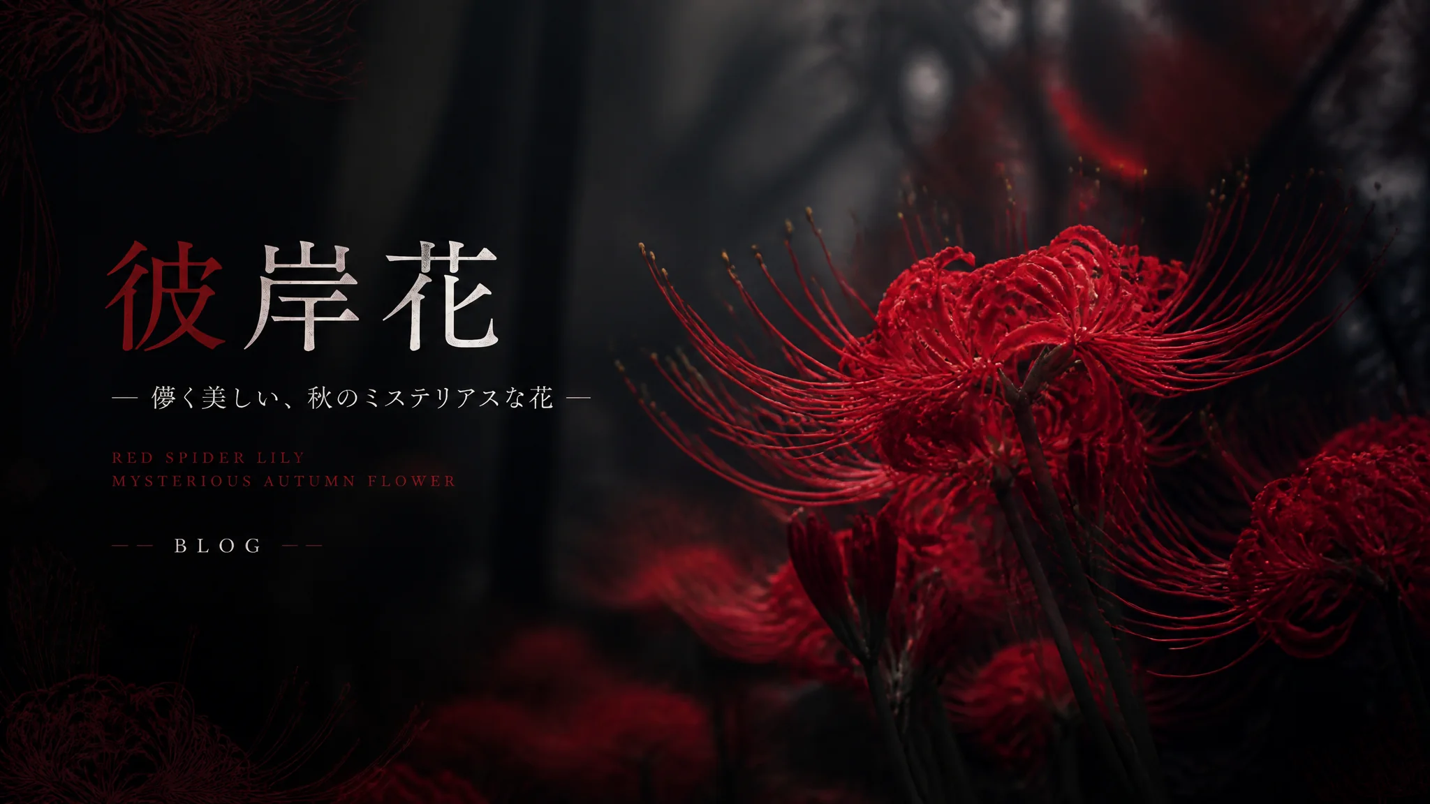 彼岸花花语：生死相隔的凄美传说
