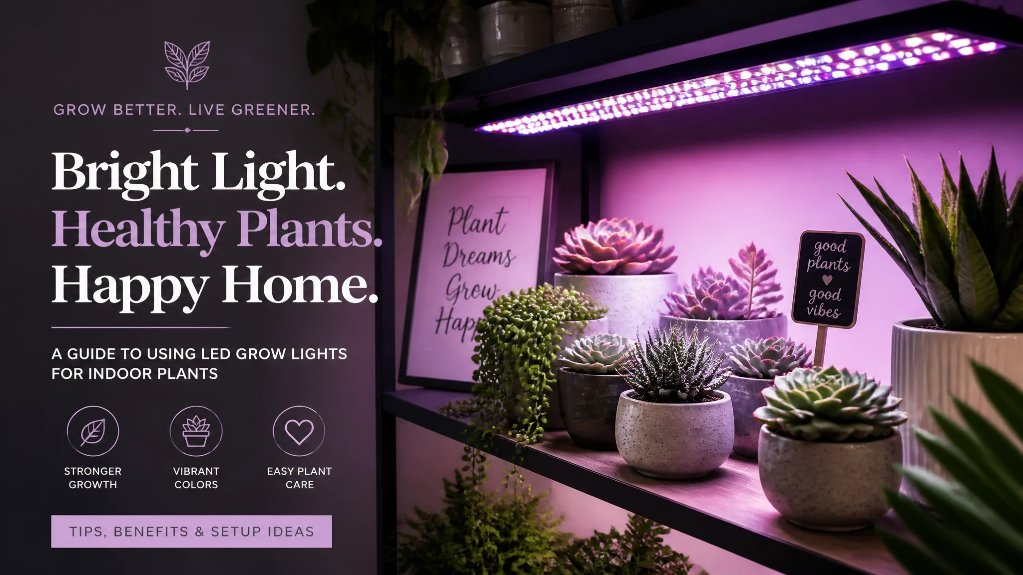 植物补光灯选购指南：室内光照不够怎么补最划算