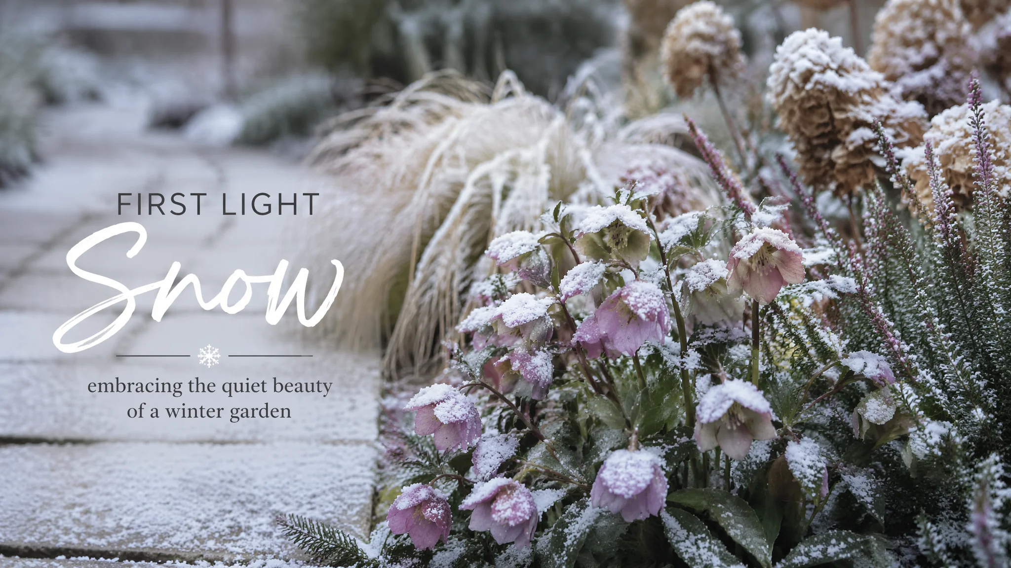 小雪防寒养护：阳台耐寒植物根系的最后一层保护和雪天养护技巧