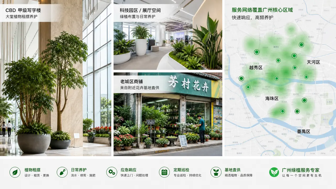 广州办公室绿植租摆怎么选区：天河琶洲老城区服务商密度与报价差