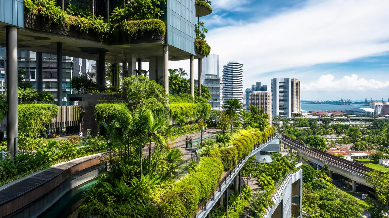 新加坡绿植能借鉴什么？热带城市绿化带来的三个居家灵感