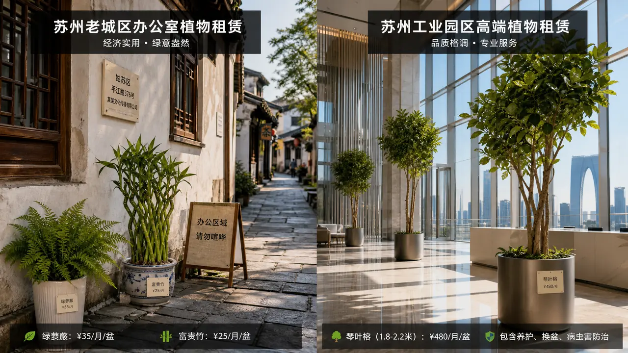 苏州绿植租赁价格，老城区和园区能差多少？两套行情拆开看