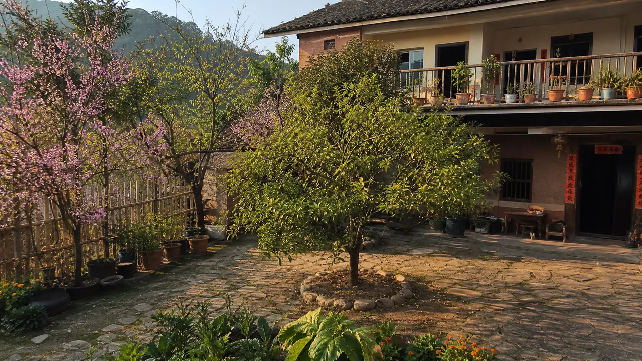 农村绿植别墅怎么布置？有院有地的自建小楼配绿植实战